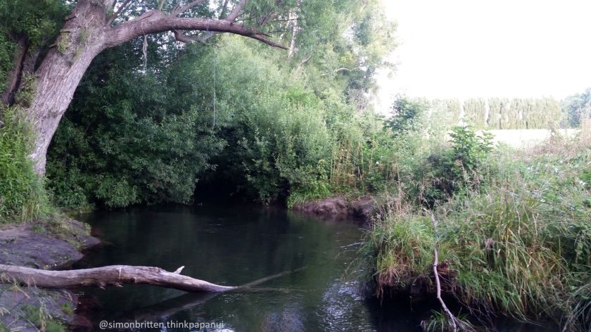 Styx River in Papanui Ward